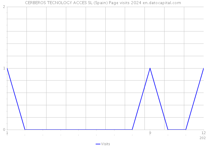 CERBEROS TECNOLOGY ACCES SL (Spain) Page visits 2024 