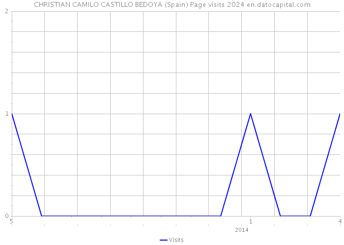 CHRISTIAN CAMILO CASTILLO BEDOYA (Spain) Page visits 2024 