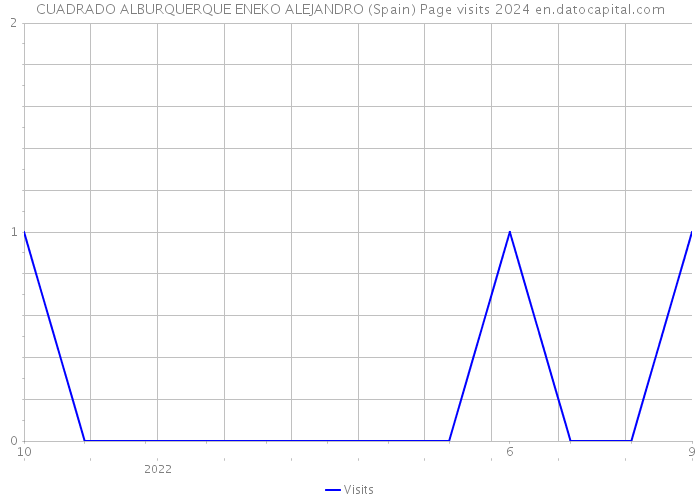 CUADRADO ALBURQUERQUE ENEKO ALEJANDRO (Spain) Page visits 2024 