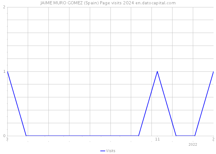 JAIME MURO GOMEZ (Spain) Page visits 2024 