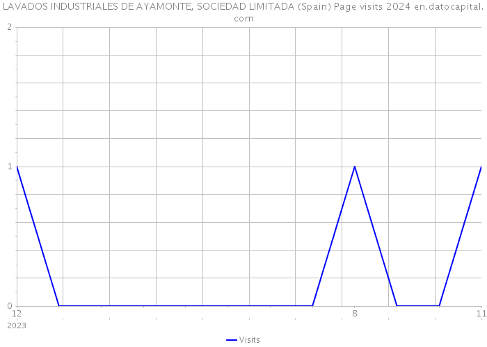 LAVADOS INDUSTRIALES DE AYAMONTE, SOCIEDAD LIMITADA (Spain) Page visits 2024 