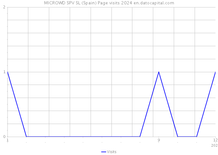 MICROWD SPV SL (Spain) Page visits 2024 