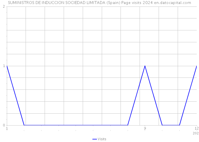 SUMINISTROS DE INDUCCION SOCIEDAD LIMITADA (Spain) Page visits 2024 