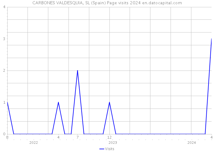 CARBONES VALDESQUIA, SL (Spain) Page visits 2024 