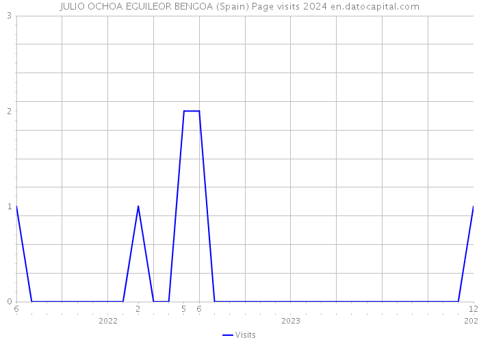 JULIO OCHOA EGUILEOR BENGOA (Spain) Page visits 2024 