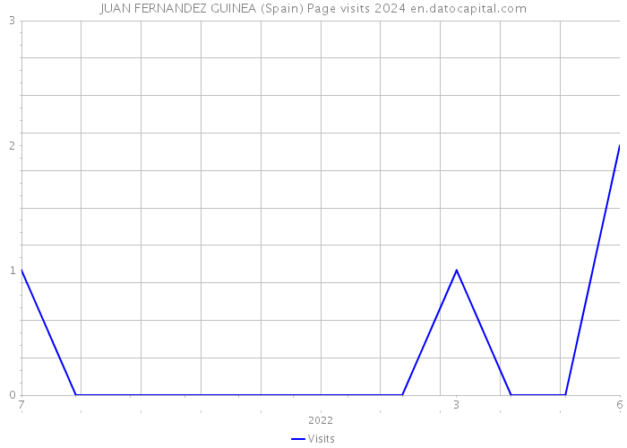 JUAN FERNANDEZ GUINEA (Spain) Page visits 2024 