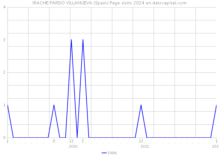 IRACHE PARDO VILLANUEVA (Spain) Page visits 2024 