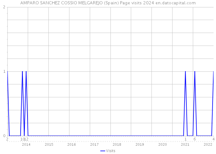 AMPARO SANCHEZ COSSIO MELGAREJO (Spain) Page visits 2024 