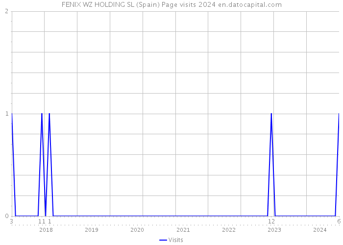 FENIX WZ HOLDING SL (Spain) Page visits 2024 