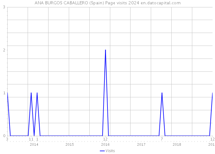 ANA BURGOS CABALLERO (Spain) Page visits 2024 