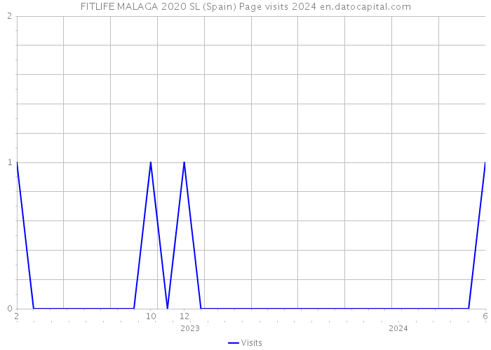 FITLIFE MALAGA 2020 SL (Spain) Page visits 2024 