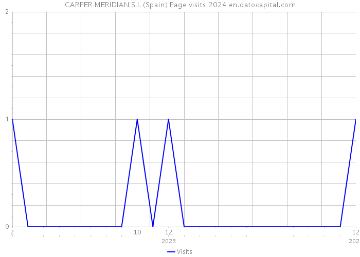 CARPER MERIDIAN S.L (Spain) Page visits 2024 