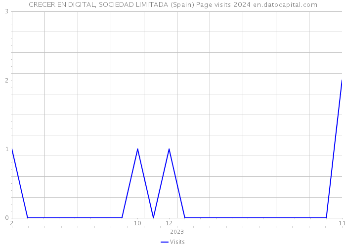 CRECER EN DIGITAL, SOCIEDAD LIMITADA (Spain) Page visits 2024 