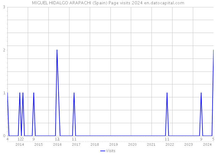 MIGUEL HIDALGO ARAPACHI (Spain) Page visits 2024 