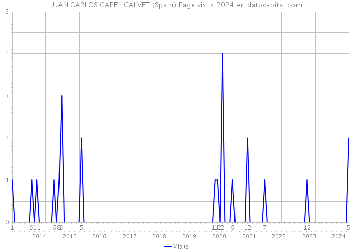 JUAN CARLOS CAPEL CALVET (Spain) Page visits 2024 