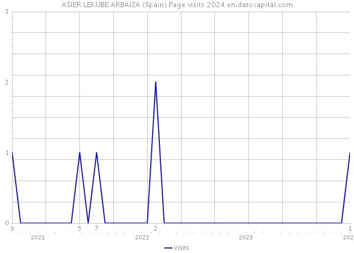 ASIER LEKUBE ARBAIZA (Spain) Page visits 2024 