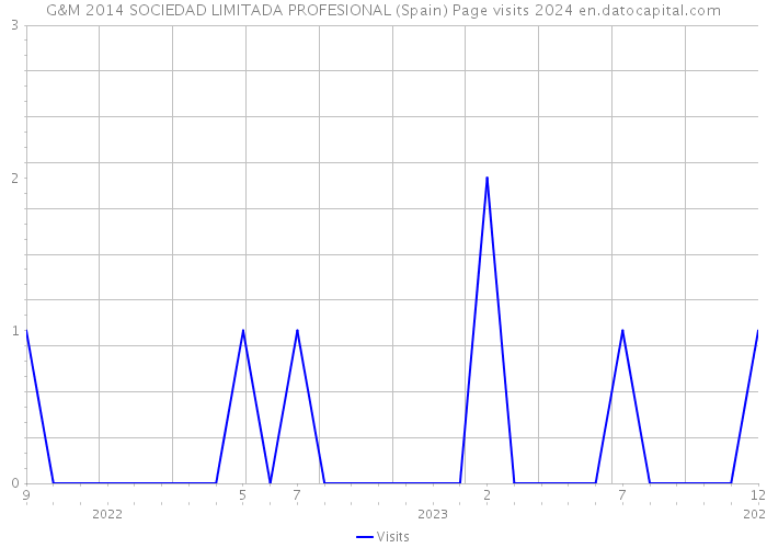 G&M 2014 SOCIEDAD LIMITADA PROFESIONAL (Spain) Page visits 2024 