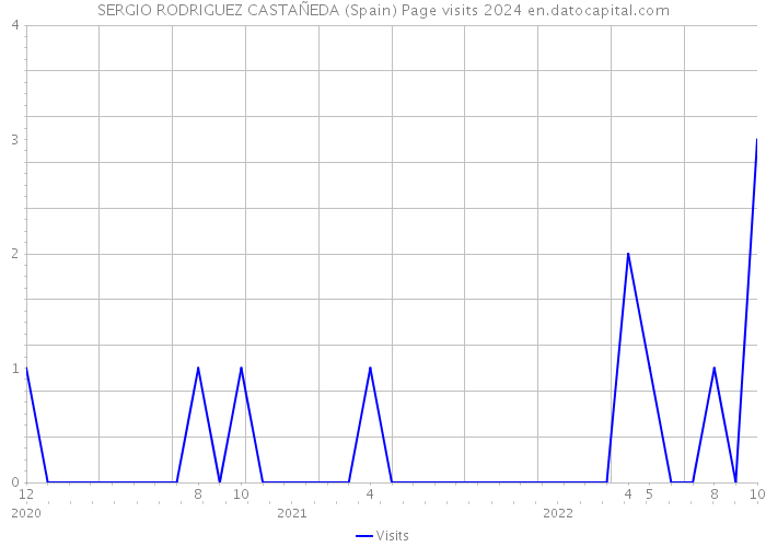 SERGIO RODRIGUEZ CASTAÑEDA (Spain) Page visits 2024 