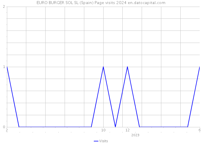 EURO BURGER SOL SL (Spain) Page visits 2024 