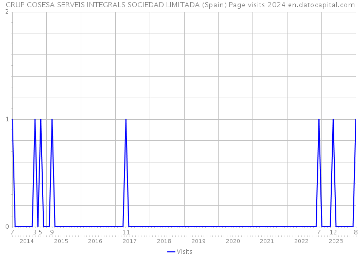 GRUP COSESA SERVEIS INTEGRALS SOCIEDAD LIMITADA (Spain) Page visits 2024 