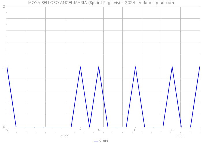 MOYA BELLOSO ANGEL MARIA (Spain) Page visits 2024 