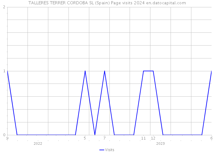 TALLERES TERRER CORDOBA SL (Spain) Page visits 2024 