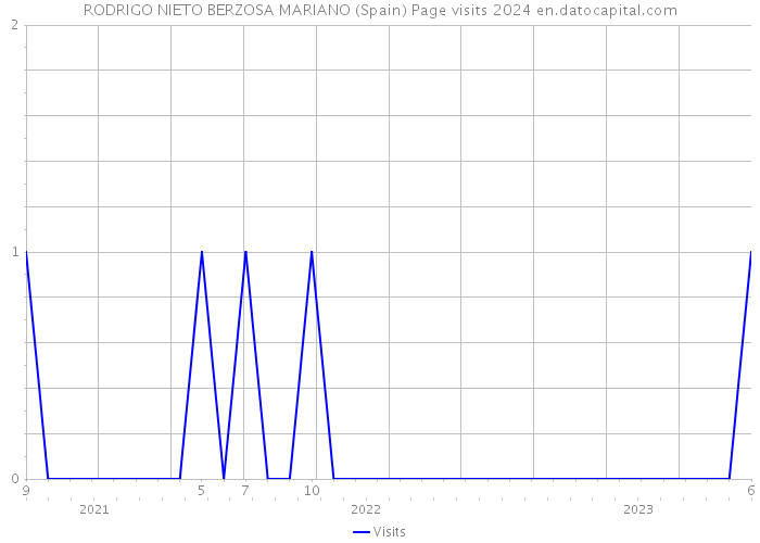 RODRIGO NIETO BERZOSA MARIANO (Spain) Page visits 2024 