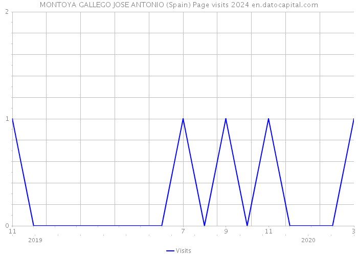 MONTOYA GALLEGO JOSE ANTONIO (Spain) Page visits 2024 