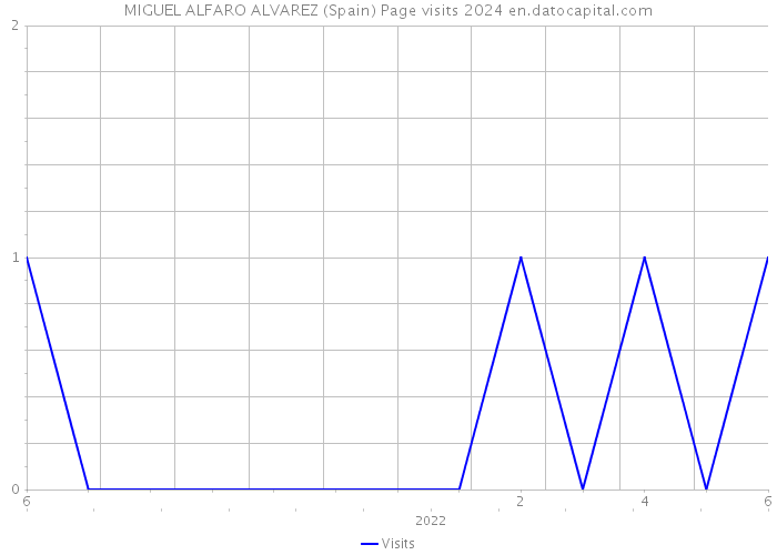 MIGUEL ALFARO ALVAREZ (Spain) Page visits 2024 