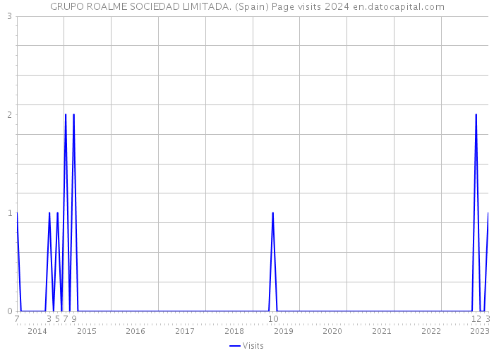 GRUPO ROALME SOCIEDAD LIMITADA. (Spain) Page visits 2024 