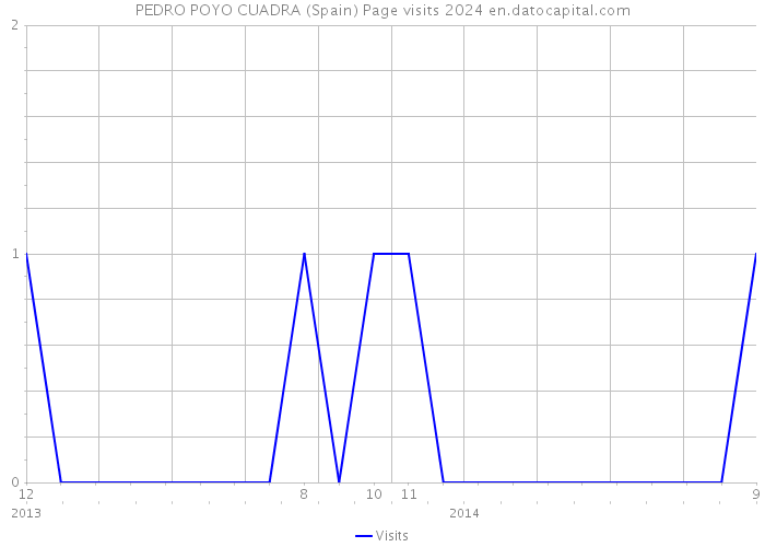 PEDRO POYO CUADRA (Spain) Page visits 2024 