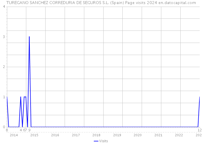 TUREGANO SANCHEZ CORREDURIA DE SEGUROS S.L. (Spain) Page visits 2024 
