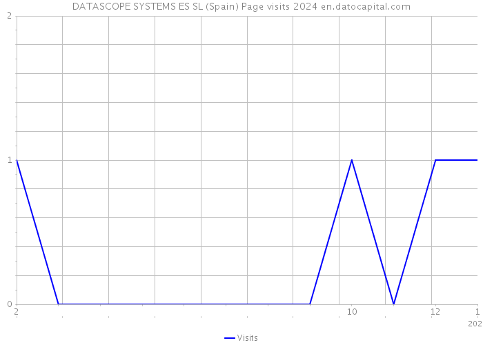 DATASCOPE SYSTEMS ES SL (Spain) Page visits 2024 