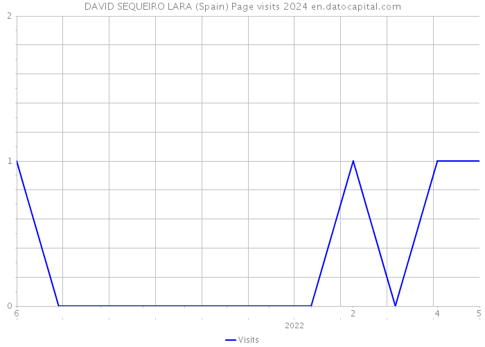 DAVID SEQUEIRO LARA (Spain) Page visits 2024 