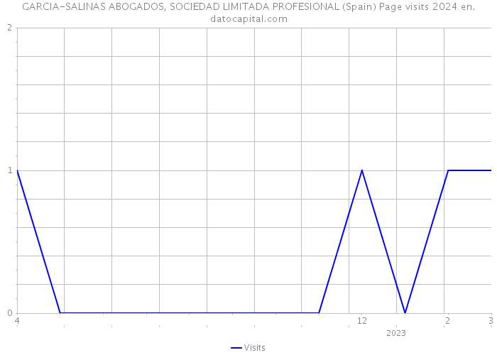 GARCIA-SALINAS ABOGADOS, SOCIEDAD LIMITADA PROFESIONAL (Spain) Page visits 2024 