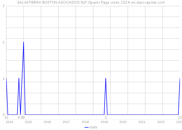 SALVATIERRA BOSTON ASOCIADOS SLP (Spain) Page visits 2024 