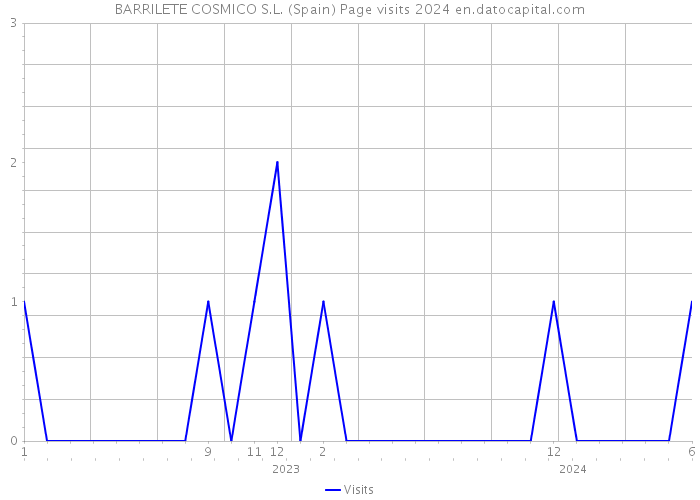 BARRILETE COSMICO S.L. (Spain) Page visits 2024 