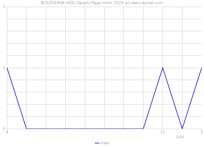 BOUZOUINA ADIL (Spain) Page visits 2024 