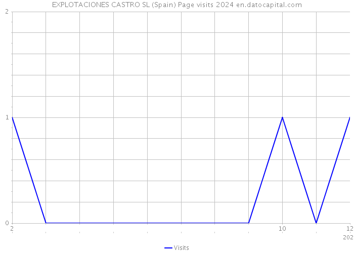 EXPLOTACIONES CASTRO SL (Spain) Page visits 2024 