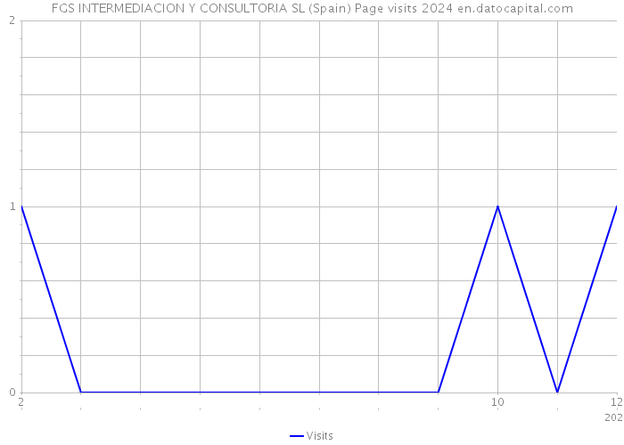 FGS INTERMEDIACION Y CONSULTORIA SL (Spain) Page visits 2024 