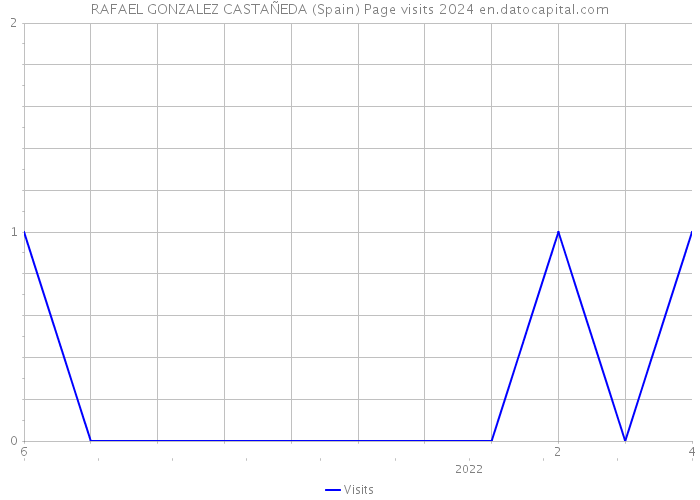RAFAEL GONZALEZ CASTAÑEDA (Spain) Page visits 2024 