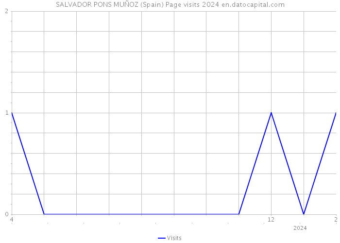 SALVADOR PONS MUÑOZ (Spain) Page visits 2024 