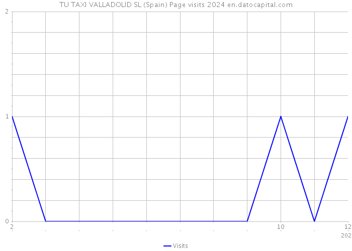 TU TAXI VALLADOLID SL (Spain) Page visits 2024 