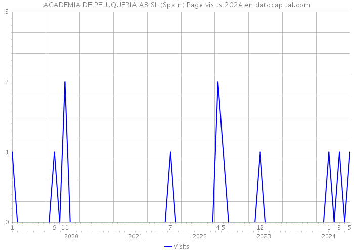 ACADEMIA DE PELUQUERIA A3 SL (Spain) Page visits 2024 