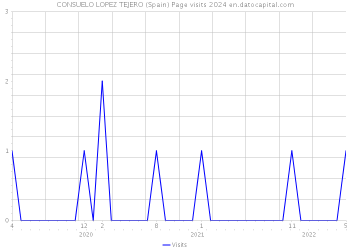 CONSUELO LOPEZ TEJERO (Spain) Page visits 2024 