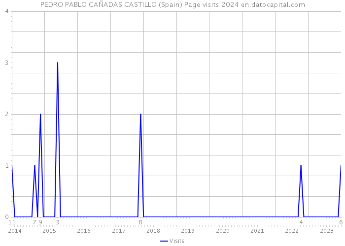 PEDRO PABLO CAÑADAS CASTILLO (Spain) Page visits 2024 