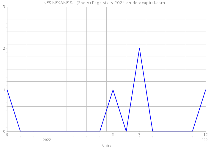 NES NEKANE S.L (Spain) Page visits 2024 