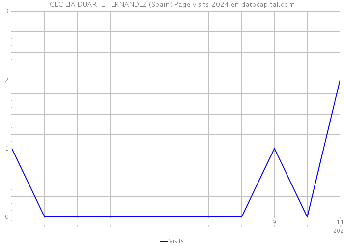 CECILIA DUARTE FERNANDEZ (Spain) Page visits 2024 