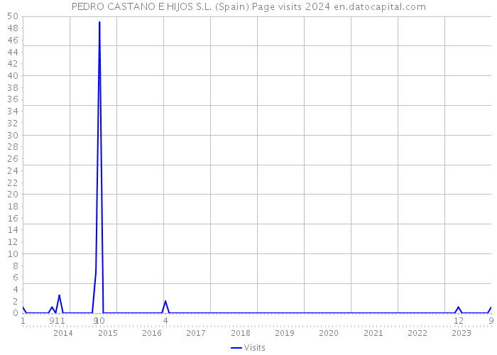 PEDRO CASTANO E HIJOS S.L. (Spain) Page visits 2024 