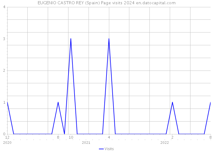 EUGENIO CASTRO REY (Spain) Page visits 2024 
